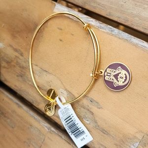 Alex and Ani bracelet hand of fatima